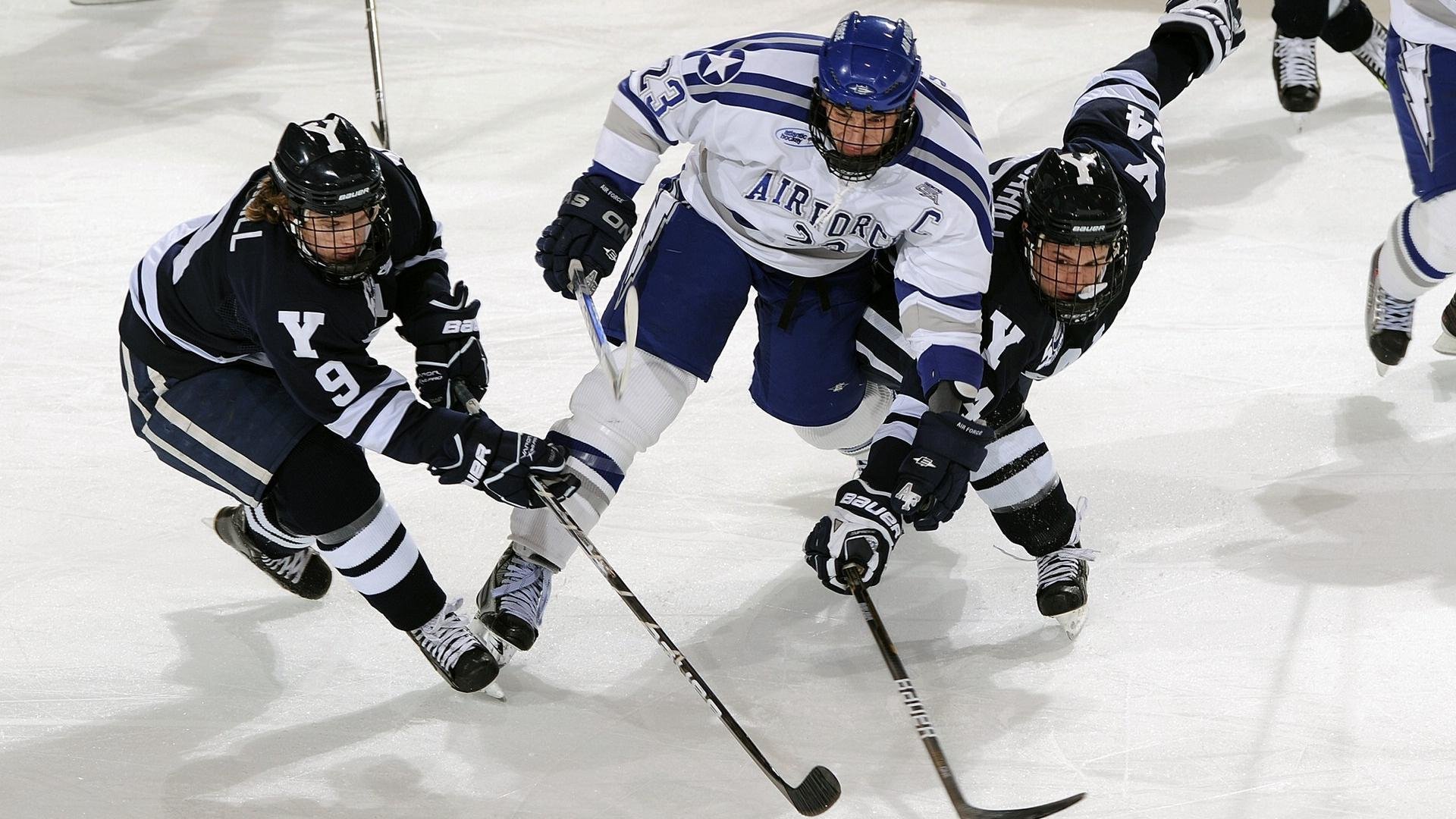 球迷热谈：本赛季“表现最亮眼”球员！